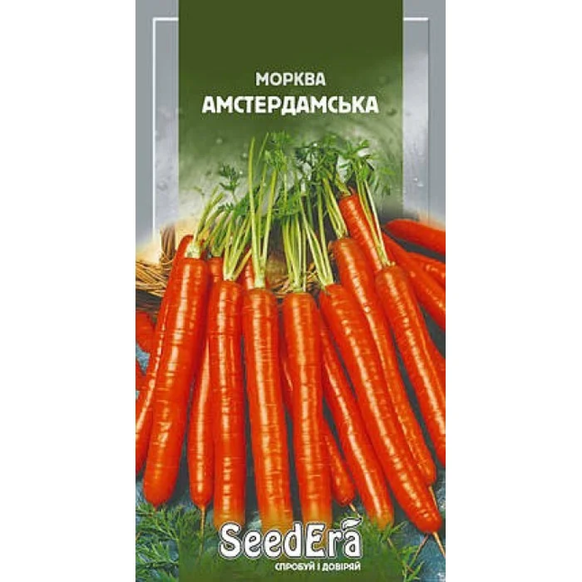 Морква Столова Амстердамська