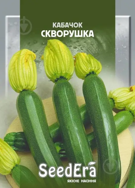 Кабачок Скворушка