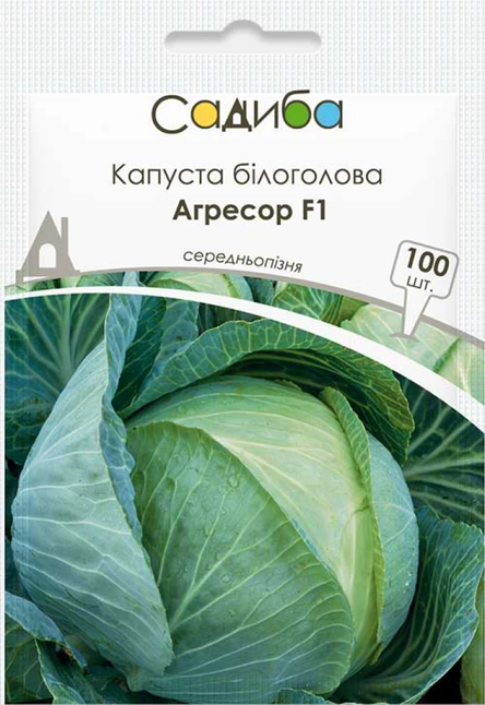 Капуста білоголова Агресор F1 — Photo 1