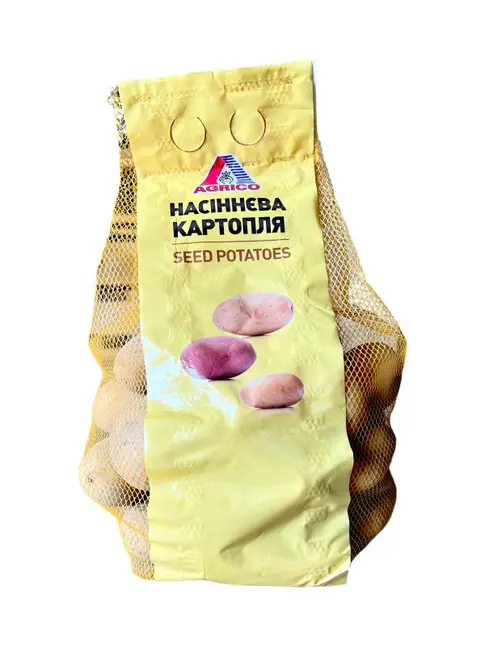 Картопля посадкова " Рів'єра ", перша репродукція — Photo 4