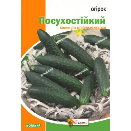Огірок Посухостійкий 5 г, ТМ Яскрава клумба — Photo 1