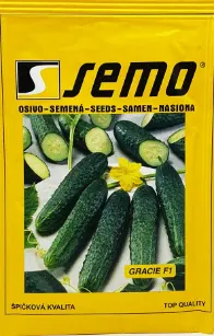 Огірок Gracie F1 50 шт, (Semo) — Photo 1