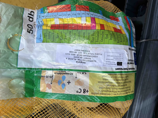 Картопля Імпала "Еліта" , 50 бульб ( ~ 1,5 кг), Угорщина — Photo 1
