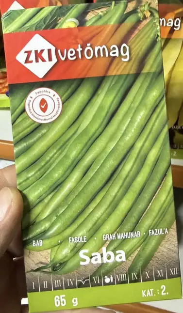 Насіння кущової квасолі ZKI Bush / Saba 65 гр — Photo 1