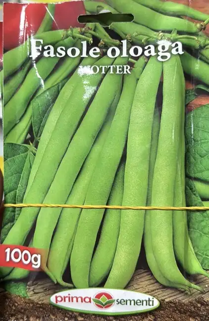 Насіння квасолі Wotter fideluta 100 г, Prima Sementi