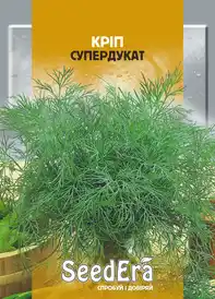 Насіння кропу — Photo 2