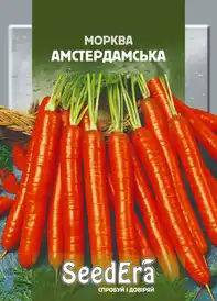 Насіння моркви — Photo 14