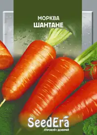 Насіння моркви — Photo 5