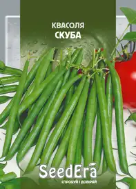 Насіння квасолі та ін. бобових — Photo 1
