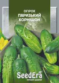 Огірок бджолозапильний — Photo 19