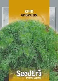 Насіння кропу — Photo 4