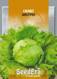 Насіння салату — Photo 6