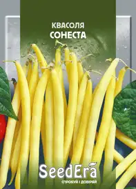 Насіння квасолі та ін. бобових — Photo 2