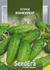 Насіння огірка — Photo 12