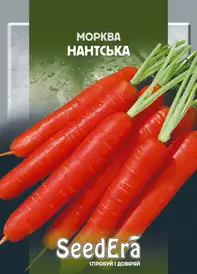 Насіння моркви — Photo 8