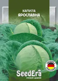Насіння капусти — Photo 13
