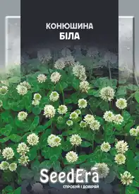 Каталог