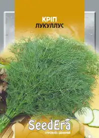 Насіння кропу — Photo 3