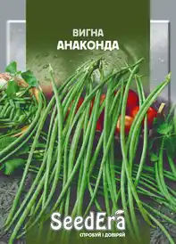 Насіння квасолі та ін. бобових — Photo 4