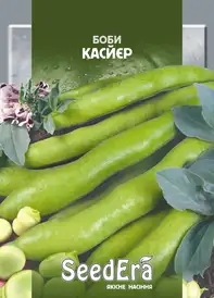 Насіння квасолі та ін. бобових — Photo 10