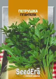 Насіння петрушки та пастернаку — Photo 3