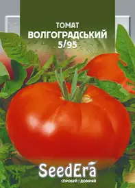Томат Індетермінантний (високорослий) — Photo 19