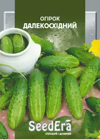 Огірок бджолозапильний — Photo 9