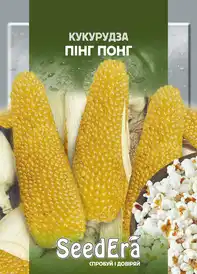 Насіння кукурудзи — Photo 12