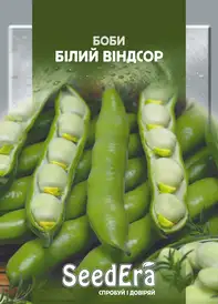 Насіння квасолі та ін. бобових — Photo 11