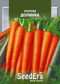 Насіння моркви — Photo 10