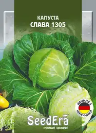 Насіння капусти — Photo 14