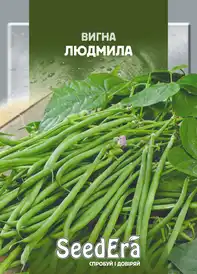 Насіння квасолі та ін. бобових — Photo 8