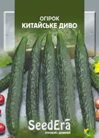 Огірок бджолозапильний — Photo 18