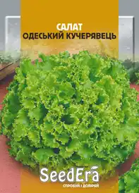 Насіння салату — Photo 11