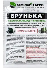 Каталог — Photo 1