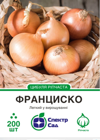 Насіння цибулі — Photo 4
