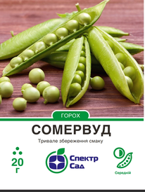 Насіння гороху — Photo 2