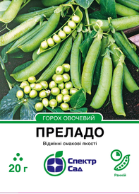 Насіння гороху — Photo 1