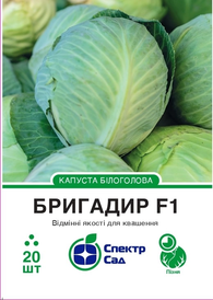 Каталог — Photo 19