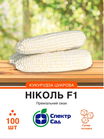 Каталог — Photo 3