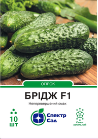 Каталог — Photo 7