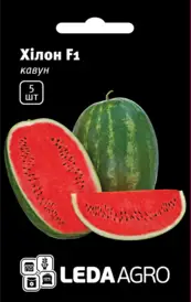 Каталог — Photo 17