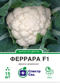 Каталог — Photo 7