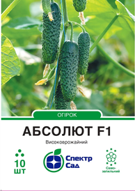 Каталог — Photo 4