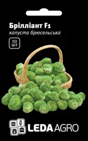 Каталог — Photo 16