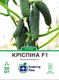 Каталог — Photo 2