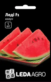 Каталог — Photo 19