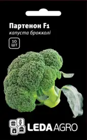 Капуста брокколі — Photo 6