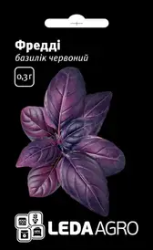 Каталог — Photo 15
