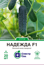 Каталог
